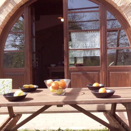 La Casina- Podere Della Collina 콜레룬고 외부 사진